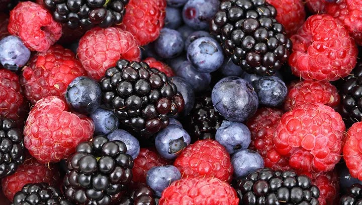 Buah Berry Obat Kolesterol Alami