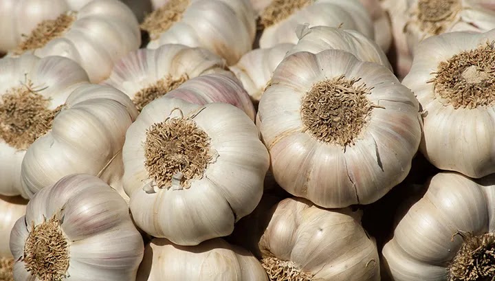 Bawang Putih Manfaat Bawang Putih