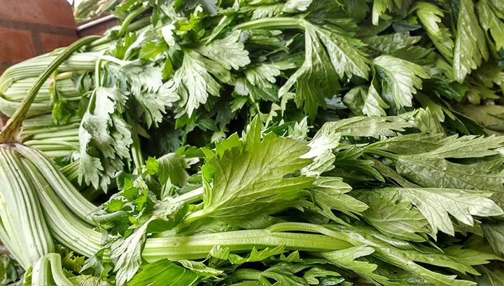 Obat Ginjal Alami Obat Batu Ginjal Alami